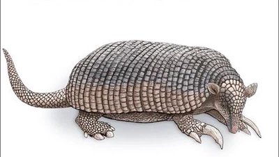 オライリーから「仕事ではじめる機械学習 第2版」を出版しました featured image