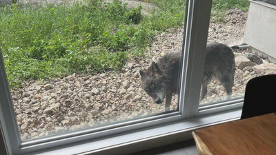 2025年を振り返って featured image